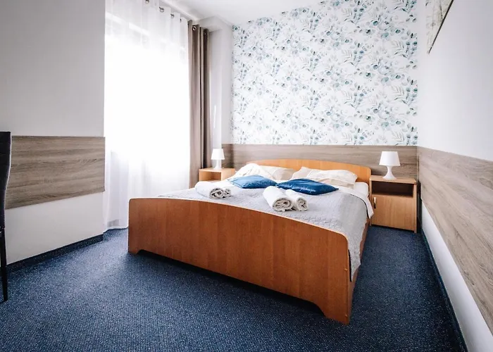 Dw Turysta Lichen Stary