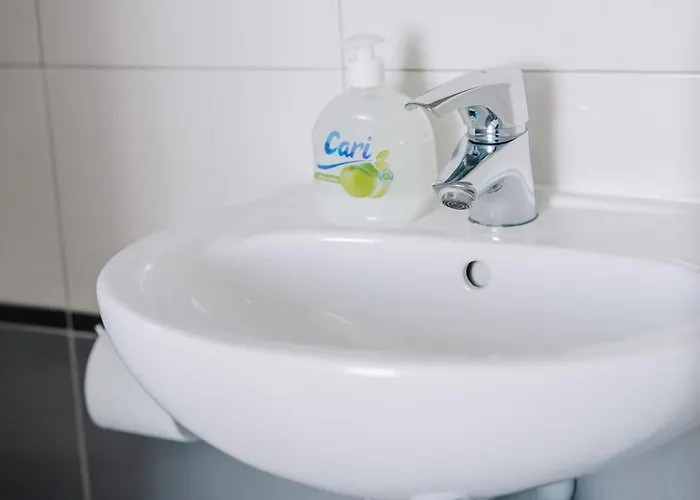 Dw Turysta Lichen Stary