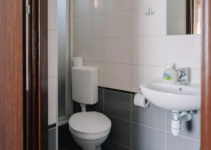 Dw Turysta Lichen Stary